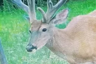 18999 River Rd, Athens, OH 45701 - Photo 60