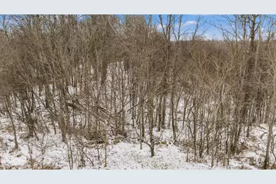 9141 Wesley Chapel Road, Mount Perry, OH 43760 - Photo 28