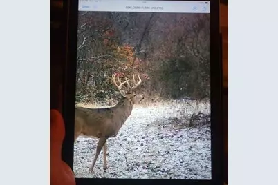 9141 Wesley Chapel Road, Mount Perry, OH 43760 - Photo 36