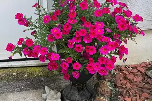 681 Mt Zion Rd SW, Lancaster, OH 43130 - Photo 130