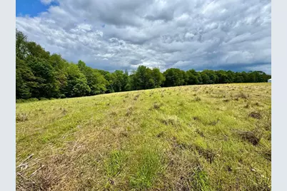 29186 Aspen Road, Frazeysburg, OH 43822 - Photo 12