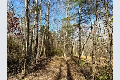 0 Dutch Ridge Road #(Woods Turkey Run Tract 4), New Lexington, OH 43764 - Photo 44