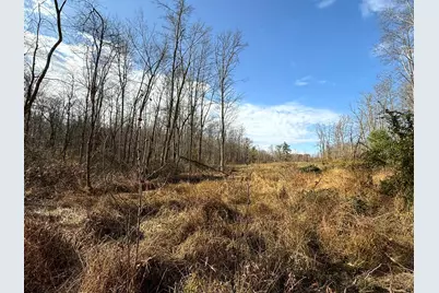 0 Dutch Ridge Road #(Woods Turkey Run Tract 4), New Lexington, OH 43764 - Photo 34