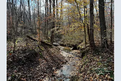 0 Dutch Ridge Road #(Woods Turkey Run Tract 4), New Lexington, OH 43764 - Photo 10