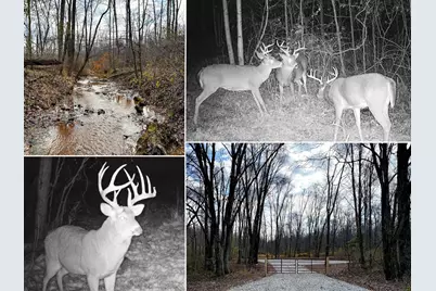 0 Dutch Ridge Road #(Woods Turkey Run Tract 4), New Lexington, OH 43764 - Photo 1