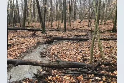 3265 Texter Road, Mansfield, OH 44904 - Photo 44