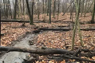 3265 Texter Rd, Mansfield, OH 44904 - Photo 44