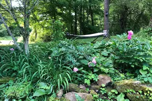 3265 Texter Rd, Mansfield, OH 44904 - Photo 42