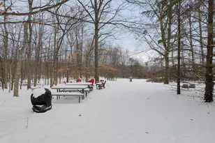 3265 Texter Rd, Mansfield, OH 44904 - Photo 22