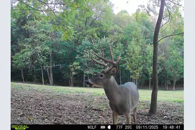 33747 Wolf Hill Road #(Wolf Hill House), McArthur, OH 45651 - Photo 8