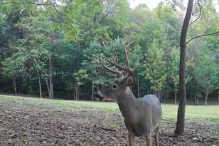 33747 Wolf Hill Rd, McArthur, OH 45651 - Photo 8