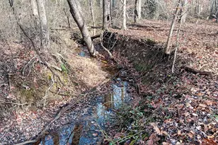 33747 Wolf Hill Rd, McArthur, OH 45651 - Photo 10