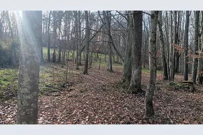 33747 Wolf Hill Road #(Wolf Hill House), McArthur, OH 45651 - Photo 58