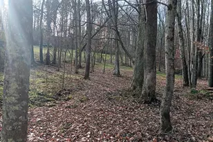 33747 Wolf Hill Rd, McArthur, OH 45651 - Photo 58