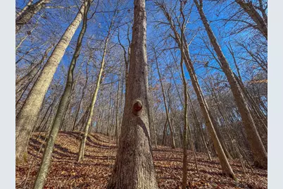 33056 Weaver Church Road, Albany, OH 45710 - Photo 22