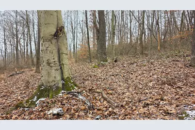 7905 Scenic Rd SE #(Lot 13 at Scenic Trails), Corning, OH 43730 - Photo 24