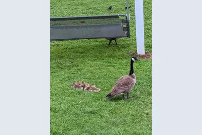 3924 Webb Lane, Stockport, OH 43787 - Photo 32