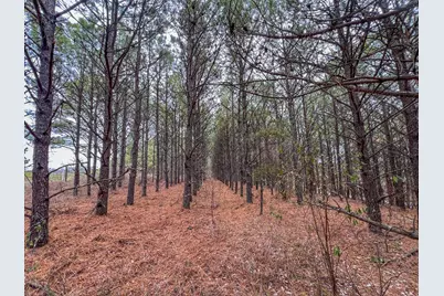 0 Oakland Church Road, Chandlersville, OH 43727 - Photo 8