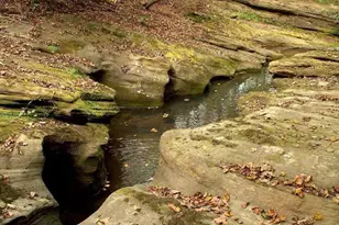 6321 R K Miller Rd, Logan, OH 43138 - Photo 68