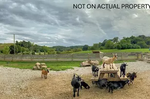 6321 R K Miller Rd, Logan, OH 43138 - Photo 74