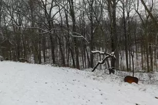 29543 Logan Horns Mill Rd, Logan, OH 43138 - Photo 34