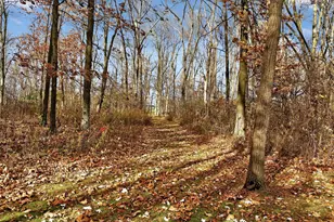 910 Lawrence Rd, Caledonia, OH 43314 - Photo 24