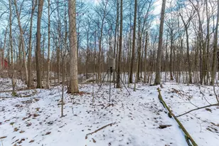 19400 Bear Swamp Rd, Marysville, OH 43040 - Photo 22