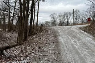 0 Sealover Hollow Rd, Philo, OH 43771 - Photo 14