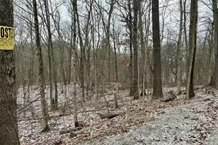 0 Sealover Hollow Rd, Philo, OH 43771 - Photo 20