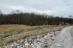 0 Sealover Hollow Rd, Philo, OH 43771 - Photo 2