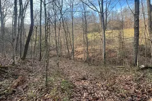 53720 State Route 681, Reedsville, OH 45772 - Photo 50