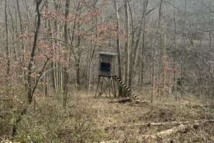 53720 State Route 681, Reedsville, OH 45772 - Photo 40