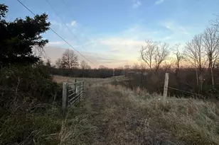 53720 State Route 681, Reedsville, OH 45772 - Photo 60