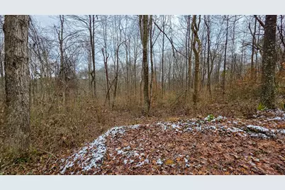 7893 Scenic Road SE #(Lot 12 at Scenic Trails), Corning, OH 43730 - Photo 22