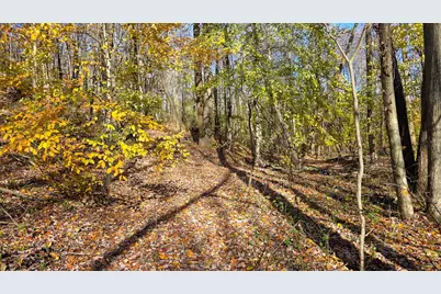 871 Poplar Ridge Road #(Ponds Poplar Ridge Tract 13), Gallipolis, OH 45631 - Photo 34