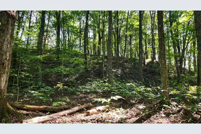 871 Poplar Ridge Road #(Ponds Poplar Ridge Tract 13), Gallipolis, OH 45631 - Photo 28