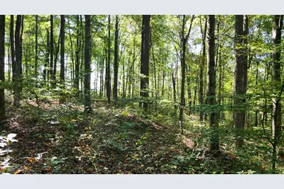 871 Poplar Ridge Road #(Ponds Poplar Ridge Tract 13), Gallipolis, OH 45631 - Photo 24