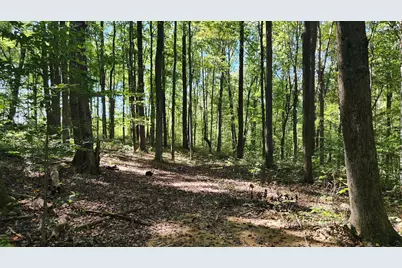 871 Poplar Ridge Road #(Ponds Poplar Ridge Tract 13), Gallipolis, OH 45631 - Photo 8