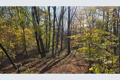 871 Poplar Ridge Road #(Ponds Poplar Ridge Tract 13), Gallipolis, OH 45631 - Photo 16