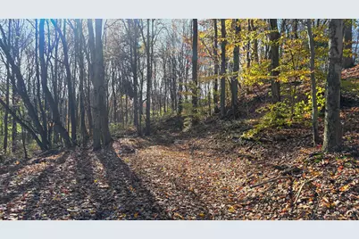 871 Poplar Ridge Road #(Ponds Poplar Ridge Tract 13), Gallipolis, OH 45631 - Photo 12