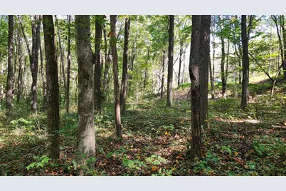 871 Poplar Ridge Road #(Ponds Poplar Ridge Tract 13), Gallipolis, OH 45631 - Photo 26