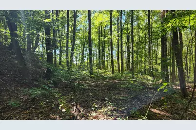 871 Poplar Ridge Road #(Ponds Poplar Ridge Tract 13), Gallipolis, OH 45631 - Photo 22