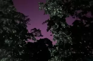 12899 Taylor Rd, Plain City, OH 43064 - Photo 122