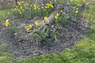 9496 Alnwick Loop, Plain City, OH 43064 - Photo 82