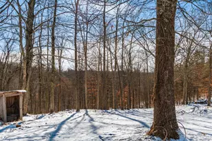 56953 Mills Rd, South Bloomingville, OH 43152 - Photo 8