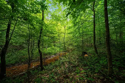 9758 Wesley Chapel Road, Mount Perry, OH 43760 - Photo 26