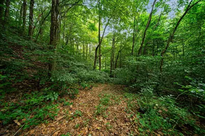 9758 Wesley Chapel Road, Mount Perry, OH 43760 - Photo 20