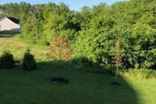 211 Passina Ct, Delaware, OH 43015 - Photo 50