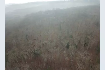 12001 W Buck Run, Rockbridge, OH 43149 - Photo 10