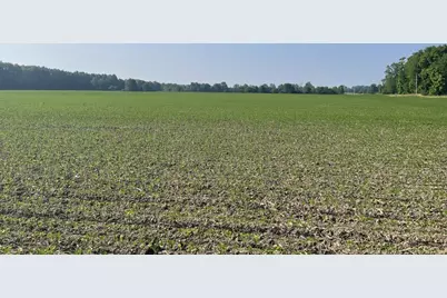 20478 Delaware County Line Road, Marysville, OH 43040 - Photo 4